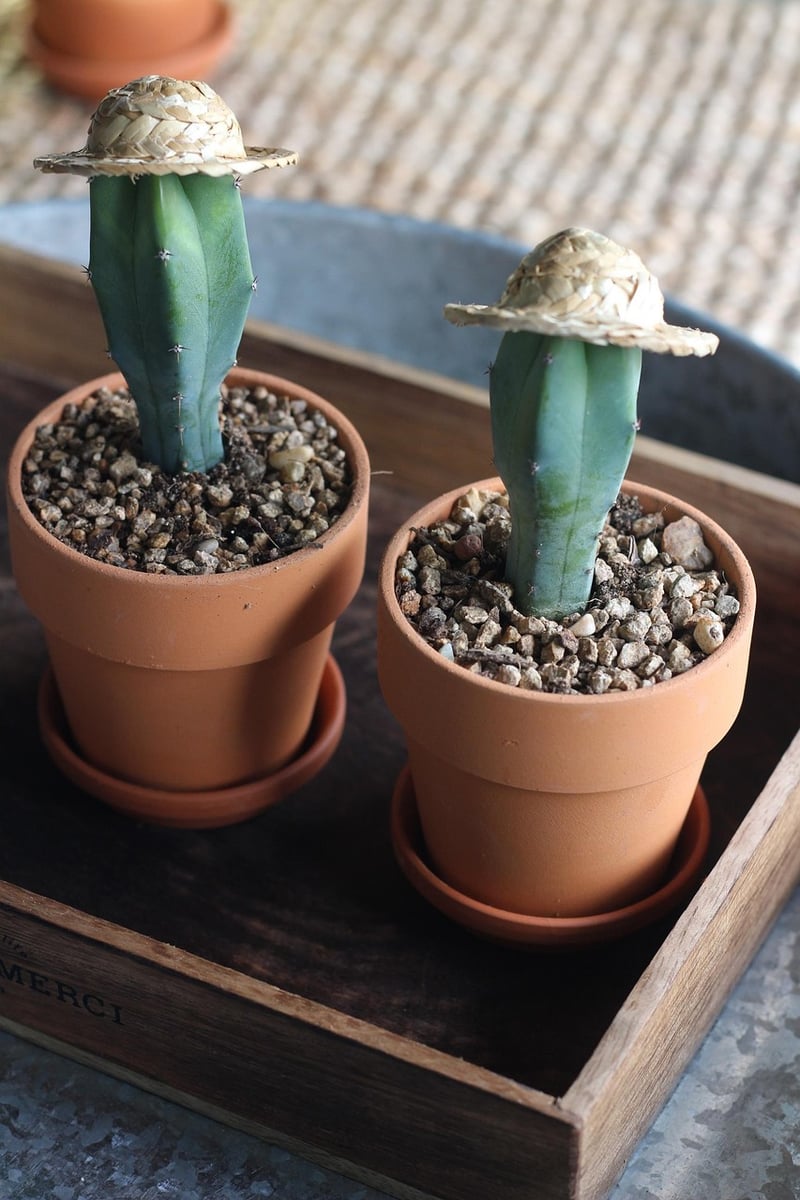 Repurpose Your Items